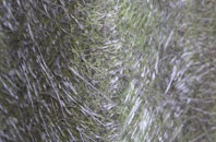 Goldsborough fibreglass roof work