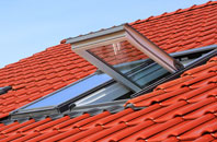 Goldsborough roof window